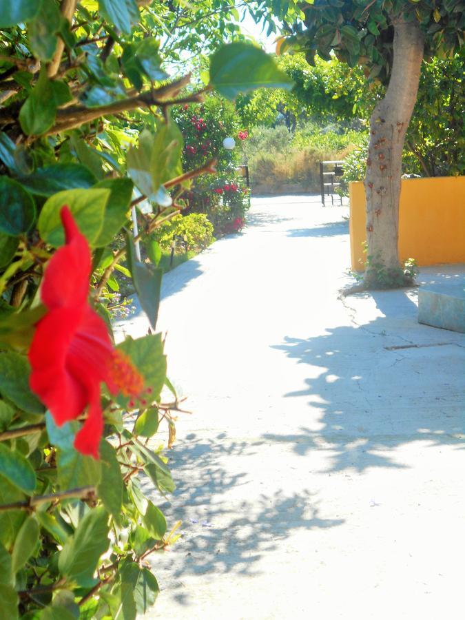 Villa Sofia Ialysos  Esterno foto