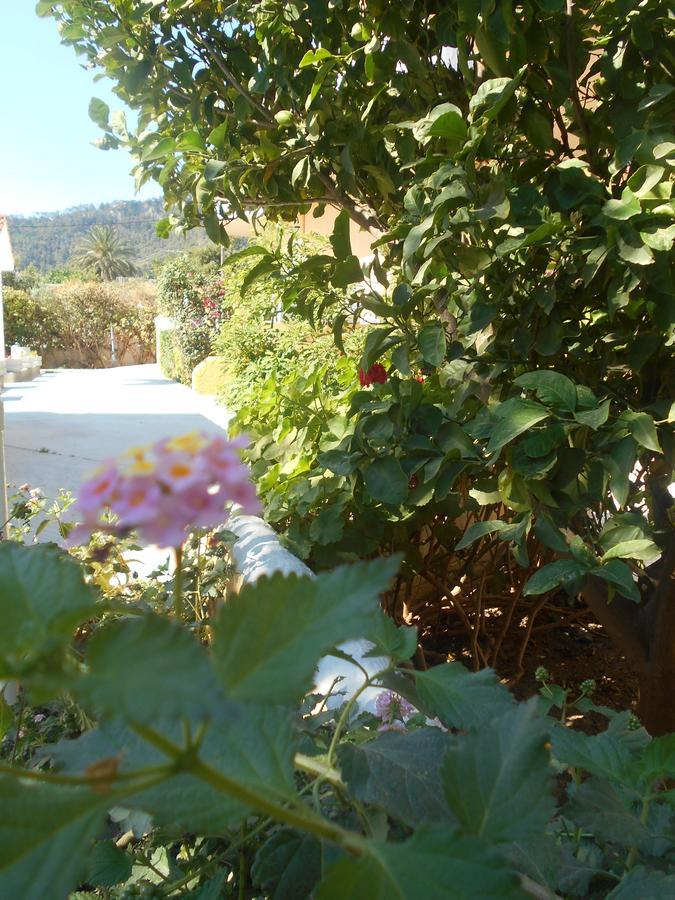 Villa Sofia Ialysos  Esterno foto