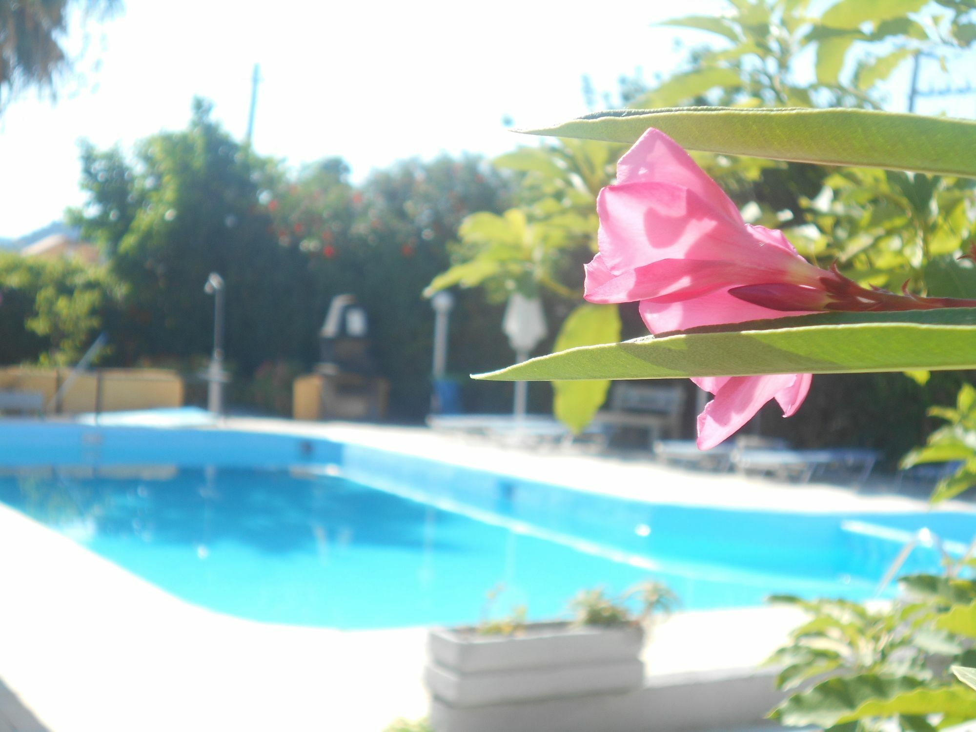 Villa Sofia Ialysos  Esterno foto